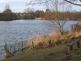 <span class="mw-page-title-main">Needham Lake</span>