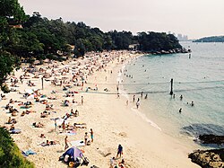 Nielsen Park Beach in summer.