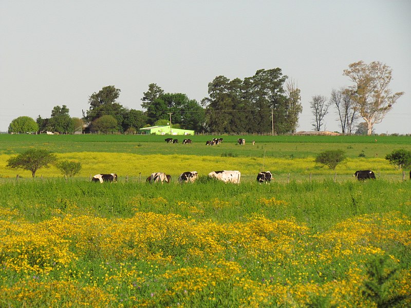 File:Nogoyá, Entre Ríos, Argentina - panoramio (88).jpg