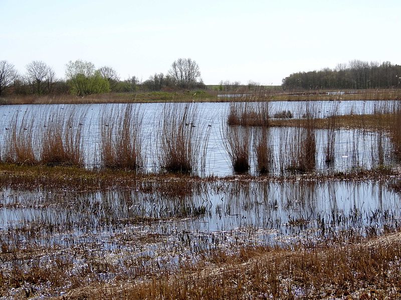 File:Noordelijk wiel.jpg