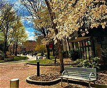 Northeastern University campus in the spring. Northeastern University campus in spring.jpg