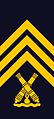 Woven shoulder mark m/02 (Amphibious Corps)