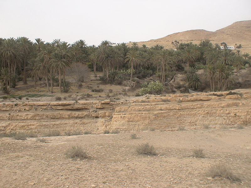 File:Oasis de Mides 2005.JPG