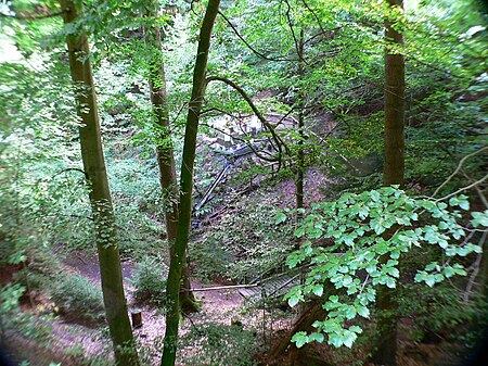 Obrunnschlucht