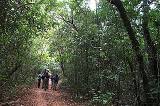 Matas do Segredo State Park