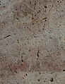 Muster: Odenwald-Quarz (9 × 12 cm). Oberfläche sägerau