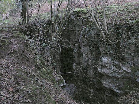 Ogof Ffynnon Ddu