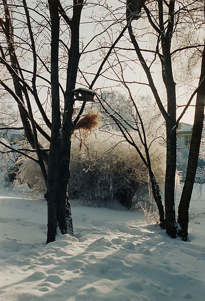 File:Opettajakerho Oulu 199501b.jpg