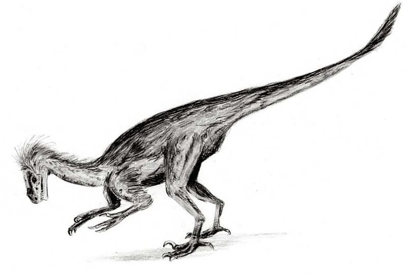 File:Ornitholestes2.jpg