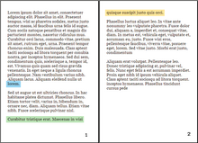 The word lorem at the end of the first paragraph is an orphan.

The last line of a paragraph continuing on to a new page (highlighted in yellow) is a widow. Orphan-typesetting.png