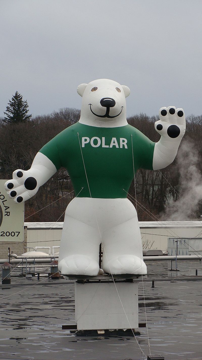 File:Polar H10.jpg - Wikimedia Commons