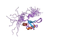 PDB 2cqg EBI.jpg