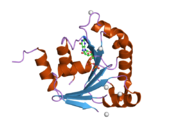 2h18: Cấu trúc của protein giống yếu tố ribosyl hóa ADP 10B ở người (ARL10B)