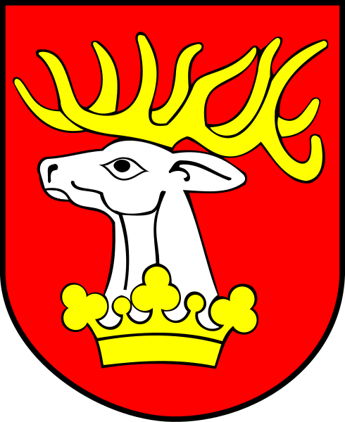 File:POL powiat lubelski COA.svg