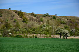 Stroupeč (prírodná pamiatka)