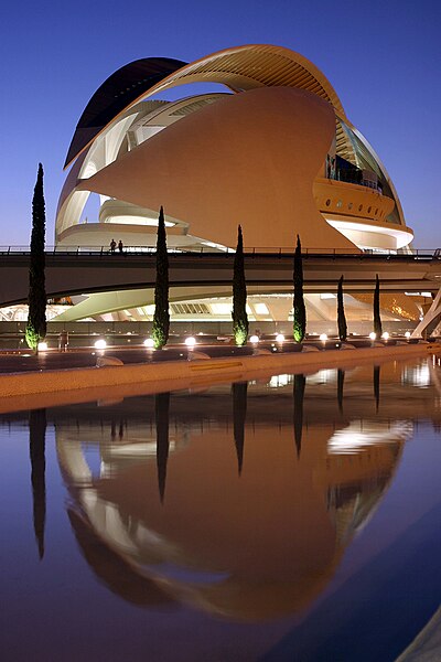 File:Palau de les Arts Reina Sofía 07082008.jpg