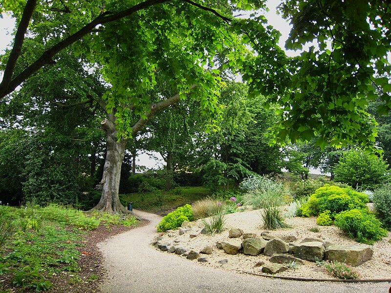 File:Path in Sheffield Botanical Gardens - geograph.org.uk - 3956648.jpg