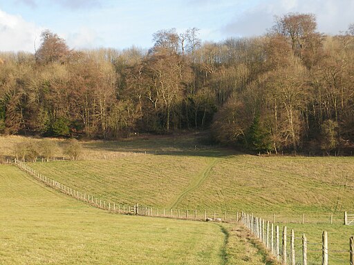 Path leading to Yousden Wood - geograph.org.uk - 2753751