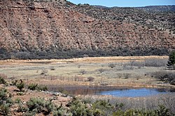 Pecks Gölü (Clarkdale, Arizona) .jpg