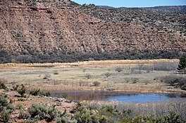 Mematuk Lake (Clarkdale, Arizona).jpg