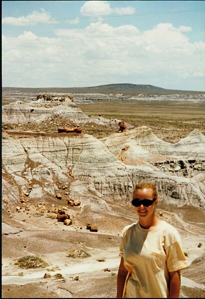 File:Petrified Forrest Overview.jpg