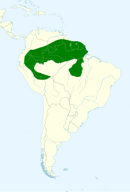 File:Phaethornis bourcieri map.svg