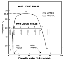 Phenol water phase diagram: Certain combinations of phenol and water can make two solutions in one bottle. Phenol in water.PNG