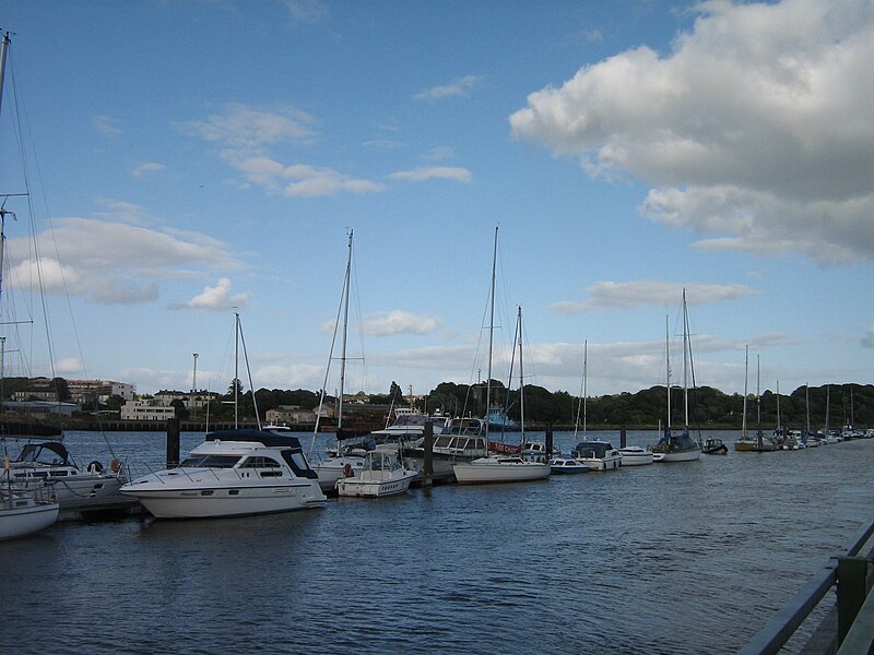 File:Picture from the Quay of Waterford.jpg