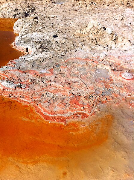 מבט מלמעלה על בריכת מינרלים בים המלח