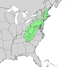 Pinus rigida Range map.png