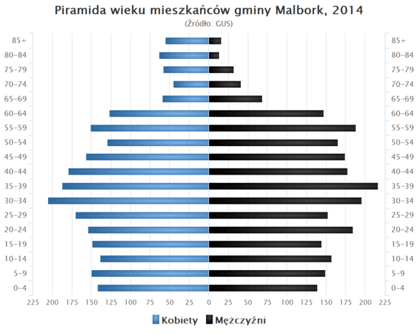 Piramida wieku Gmina Malbork.png