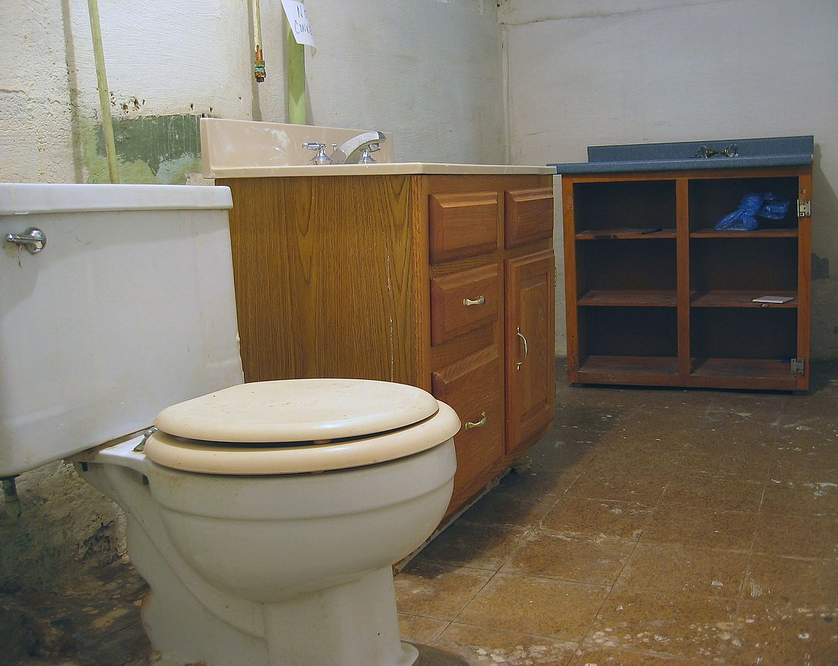 https://upload.wikimedia.org/wikipedia/commons/thumb/0/07/Pittsburgh_toilet.jpg/1200px-Pittsburgh_toilet.jpg