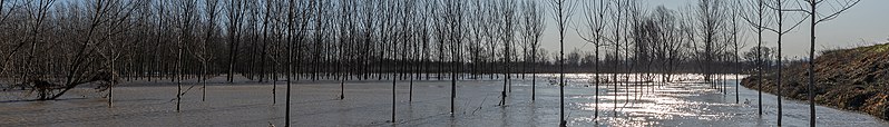 File:Po River Flood - Dosolo, Mantova, Italy - December 23, 2019 01 (cropped).jpg