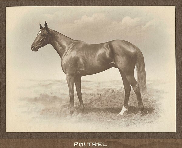 Poitrel, 1919 & 1920 winner