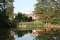 Čeština: Rybník ve Vítonicích, Blažejovice, okr. Benešov. English: Pond in Vítonice, Blažejovice, Benešov District.