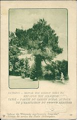 Postes helléniques-CP(1918)-0007.jpg