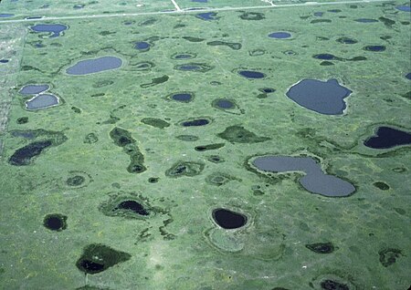 Tập_tin:Prairie_Pothole_Wetlands.jpg