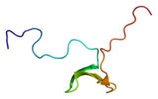 <span class="mw-page-title-main">APBB1</span> Protein-coding gene in the species Homo sapiens