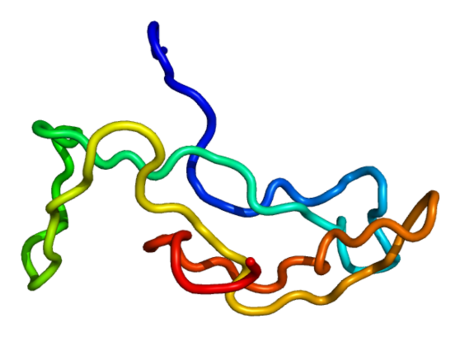 Luteinizing hormone