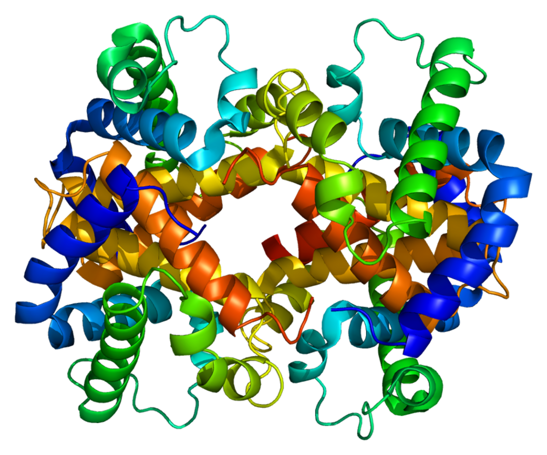 Hemoglobin subunit zeta