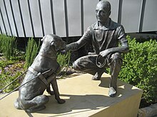 A statue to Dr Arnold Cook and a guide dog. Public art - Arnold Cook, Association for the Blind, Vic Park, Perth.jpg