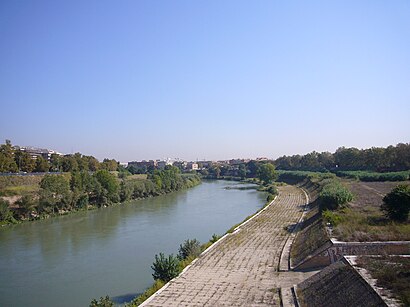 How to get to Lungotevere San Paolo with public transit - About the place