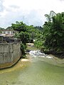 Río Guatemala, San Sebastián, Puerto Rico 07.jpg