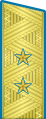 Парадный погон генерал-лейтенант авиации ВС СССР, с 1955 по 1994 год.