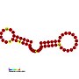 Thumbnail for Bovine leukaemia virus RNA packaging signal