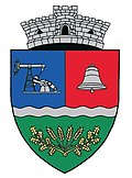 Wappen von Gura Ocniței