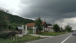 Drăganu - View