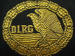 Rescue swimming badge in gold as awarded by the DLRG RSA Gold.jpg