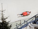 Deutsch: Vorletztes Saisonrennen im Rennrodel-Weltcup der Saison 2014/15 vom 19. bis 22. Februar 2015 in Altenberg/Erzgebirge. Tag 2: Nationencups. English: Luge world cup race season 2014/15 in Altenberg/Germany, 19th to 22nd Februar 2015. Day 2: Nations cup races.