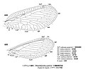 2021年5月6日 (木) 03:34時点における版のサムネイル